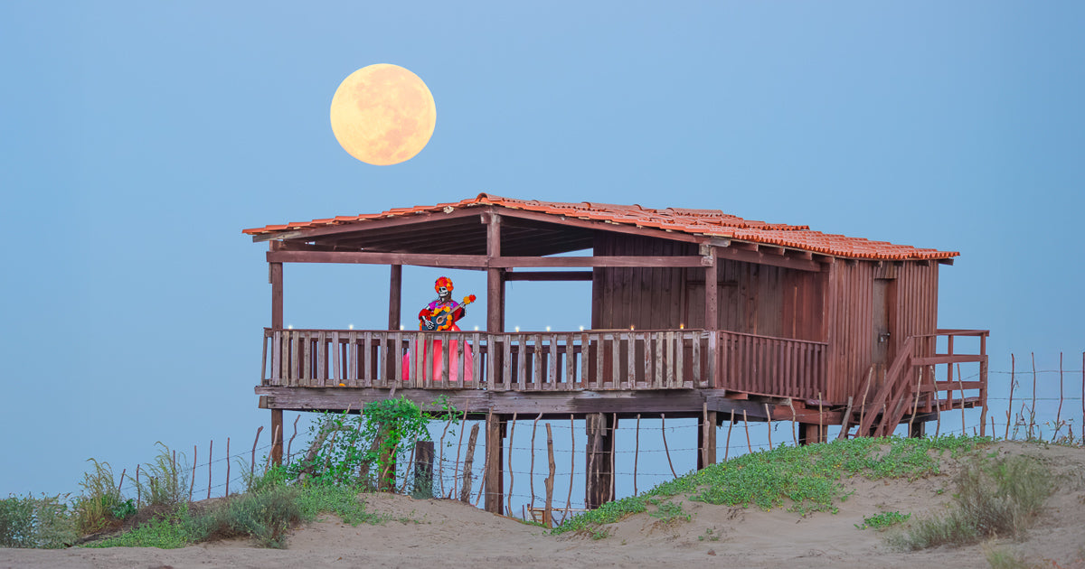 La Catrina bajo la luna: una madrugada de perseverancia y cosmos.