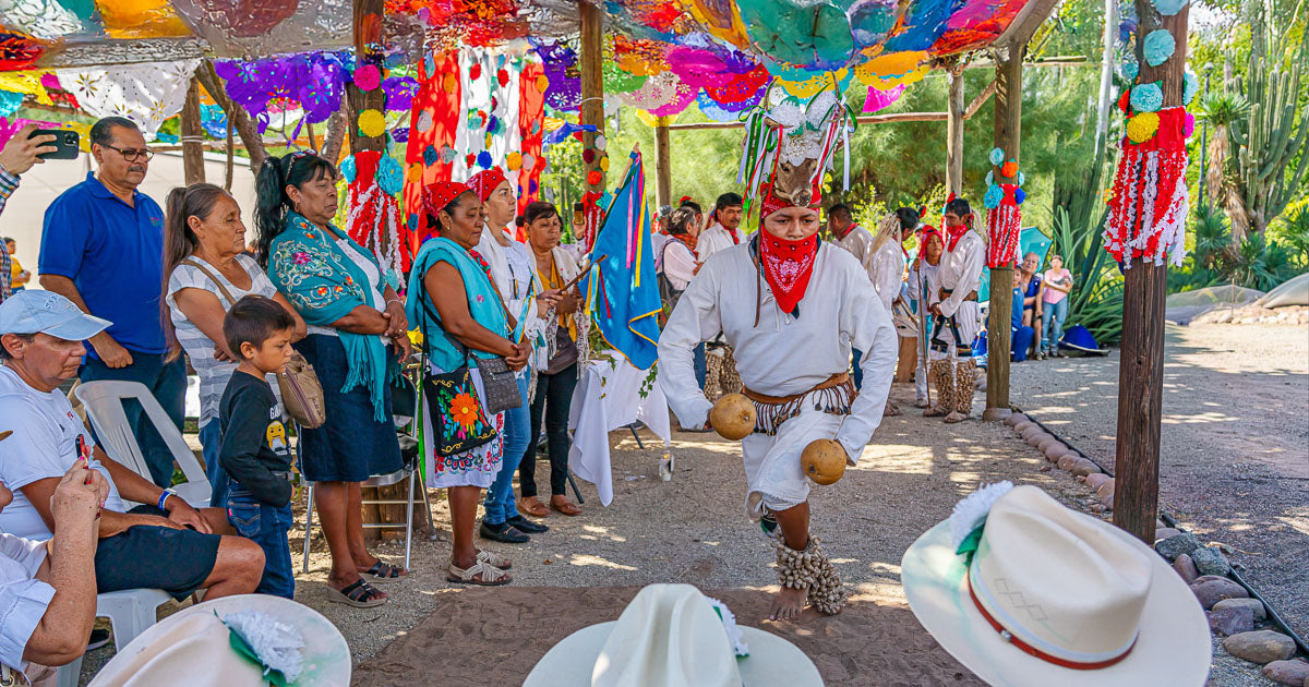Mariposa Cuatro Espejos: un fotoreportaje de la ceremonia yoreme-mayo.