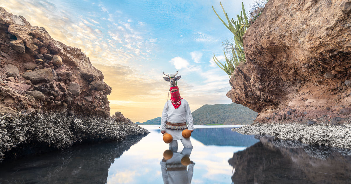 Danza del Venado, de pie en el agua entre formaciones rocosas con cactus; cielo de atardecer reflejado en la marea calma.