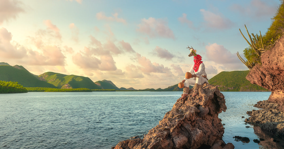 El Venado: un manifiesto sobre arte, naturaleza y resistencia.