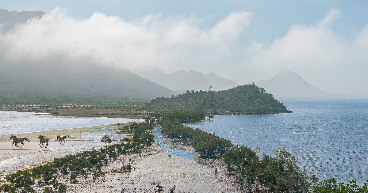 Exploración en Lázaro Cárdenas: el viaje donde comenzó “Cura”