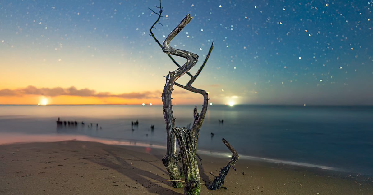 Tronco retorcido de mangle sobre la arena, mar sedoso por larga exposición y cielo estrellado con resplandor en el horizonte.