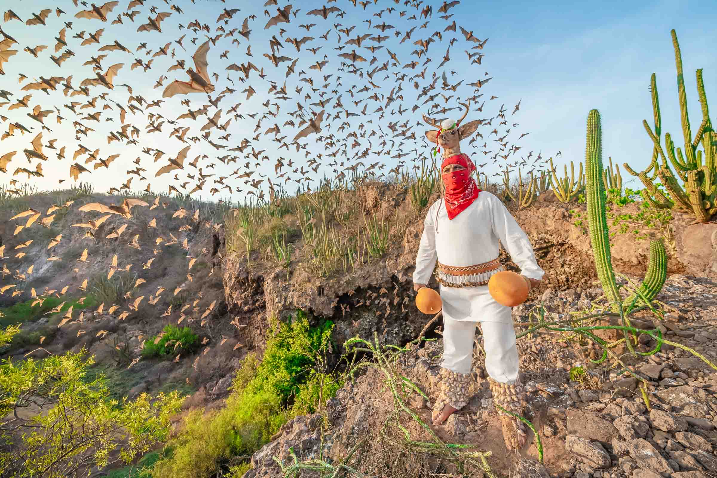 El Venado: Arte y Naturaleza