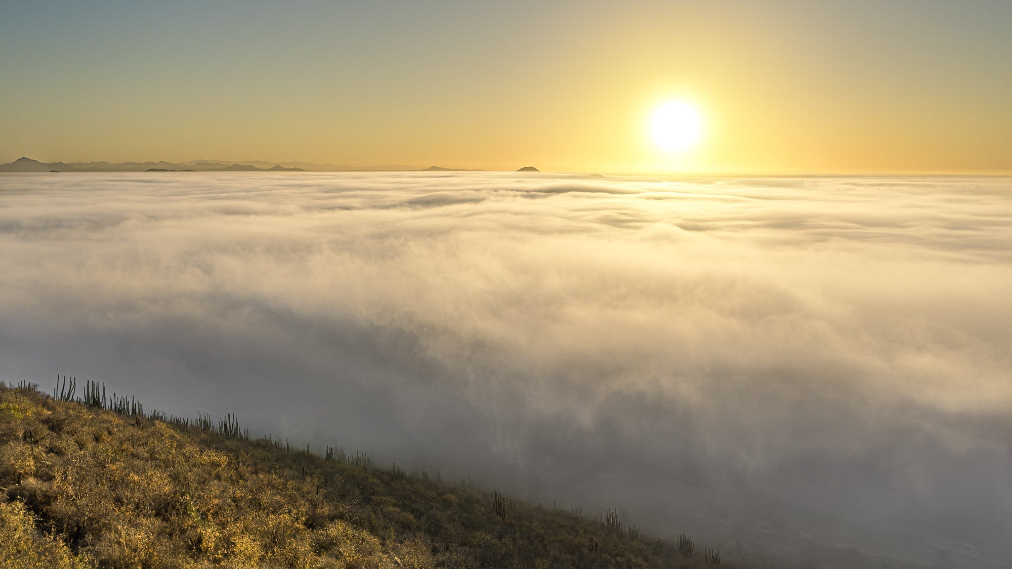 Cerro de la Memoria 360°: Un Día en Los Mochis (Time-lapse)