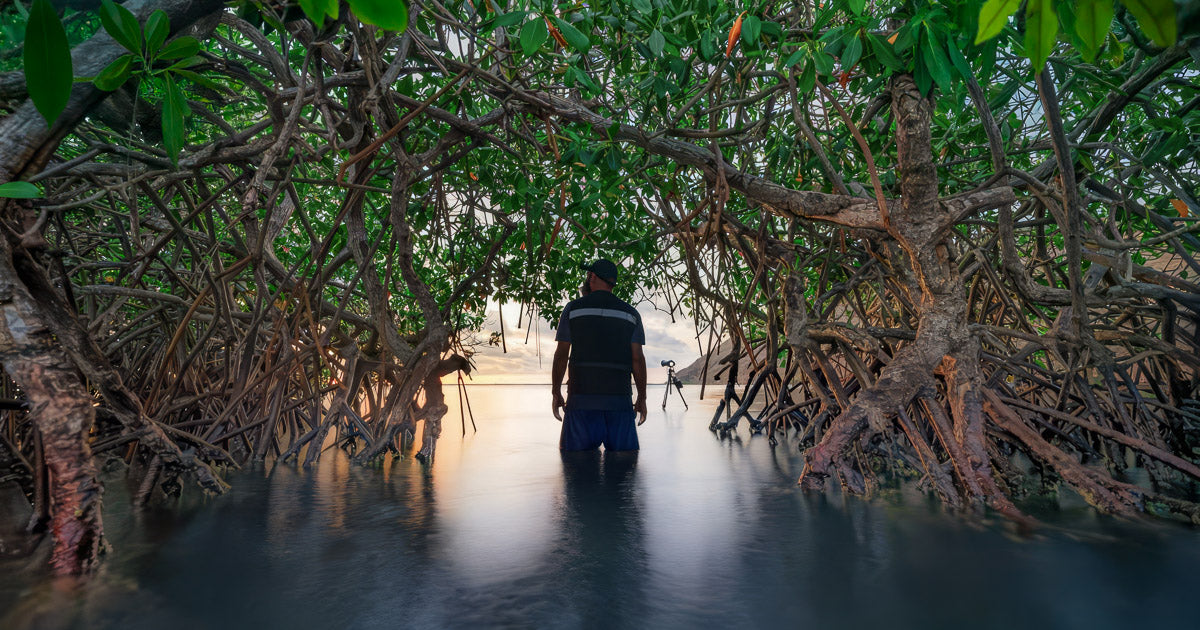 Fotógrafo de espaldas dentro del manglar al atardecer, con el agua a la cintura, raíces entrelazadas alrededor y trípodes al fondo capturando la luz suave sobre la bahía.