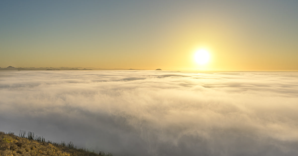 Mar de nubes visto desde un cerro con cactus en primer plano, el sol naciente tiñe de dorado el horizonte con montañas lejanas al fondo.