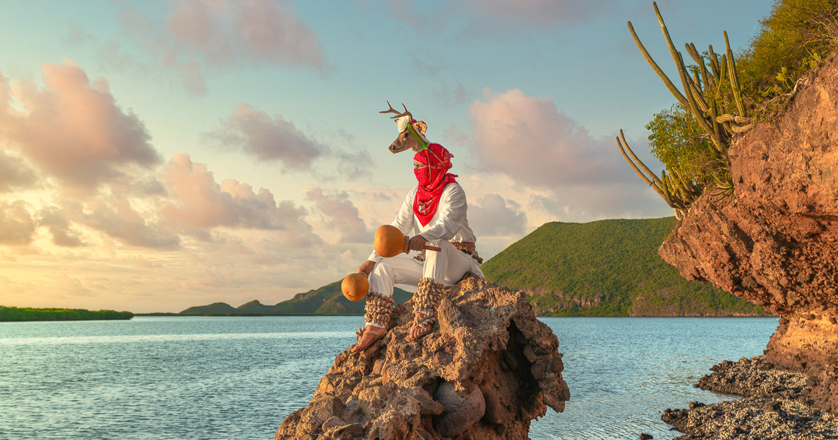 El Venado en contemplación: un atardecer de conexión en Topolobampo.