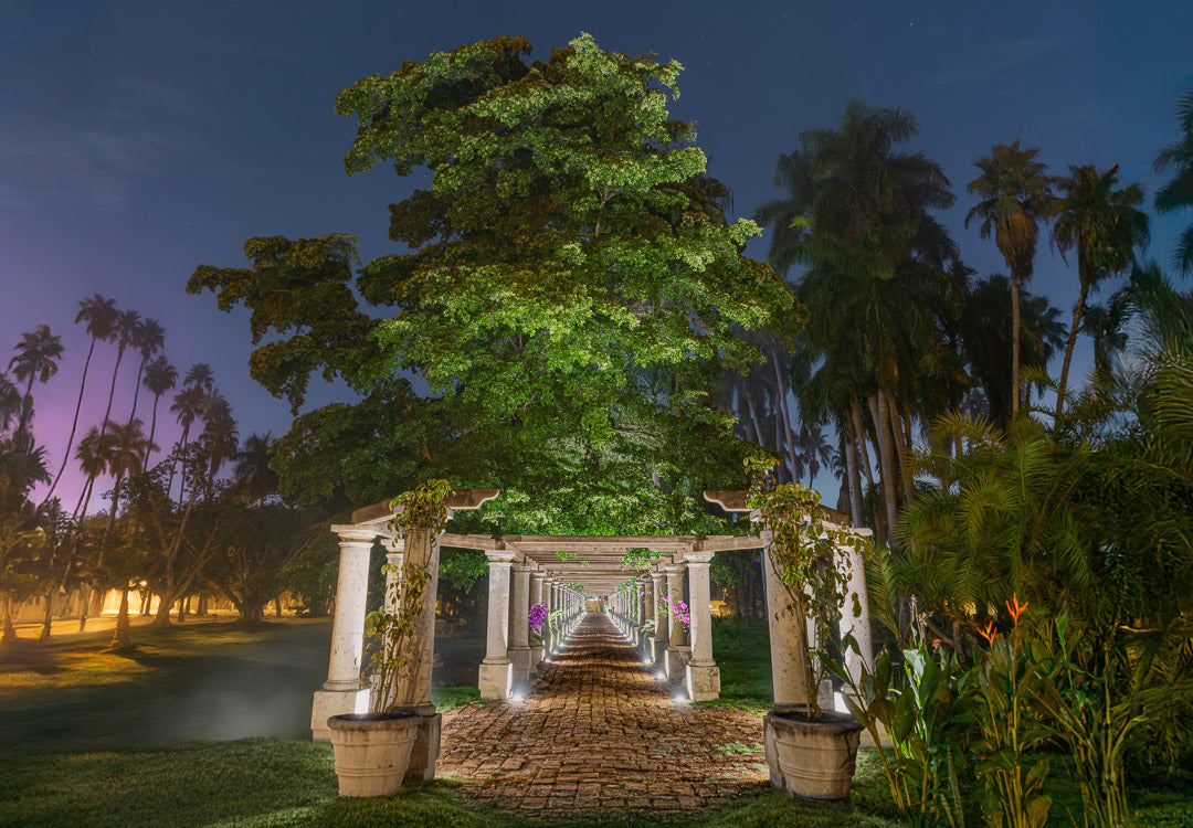Pasillo de pérgolas con luces a ras de piso, vegetación densa y cielo nocturno despejado.