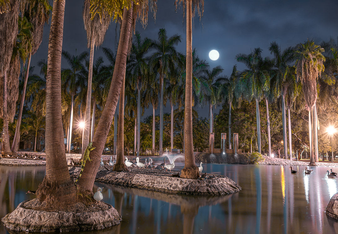 Lago del Jardín Botánico de Los Mochis de noche, palmeras altas, luna llena entre nubes y aves acuáticas sobre los islotes.