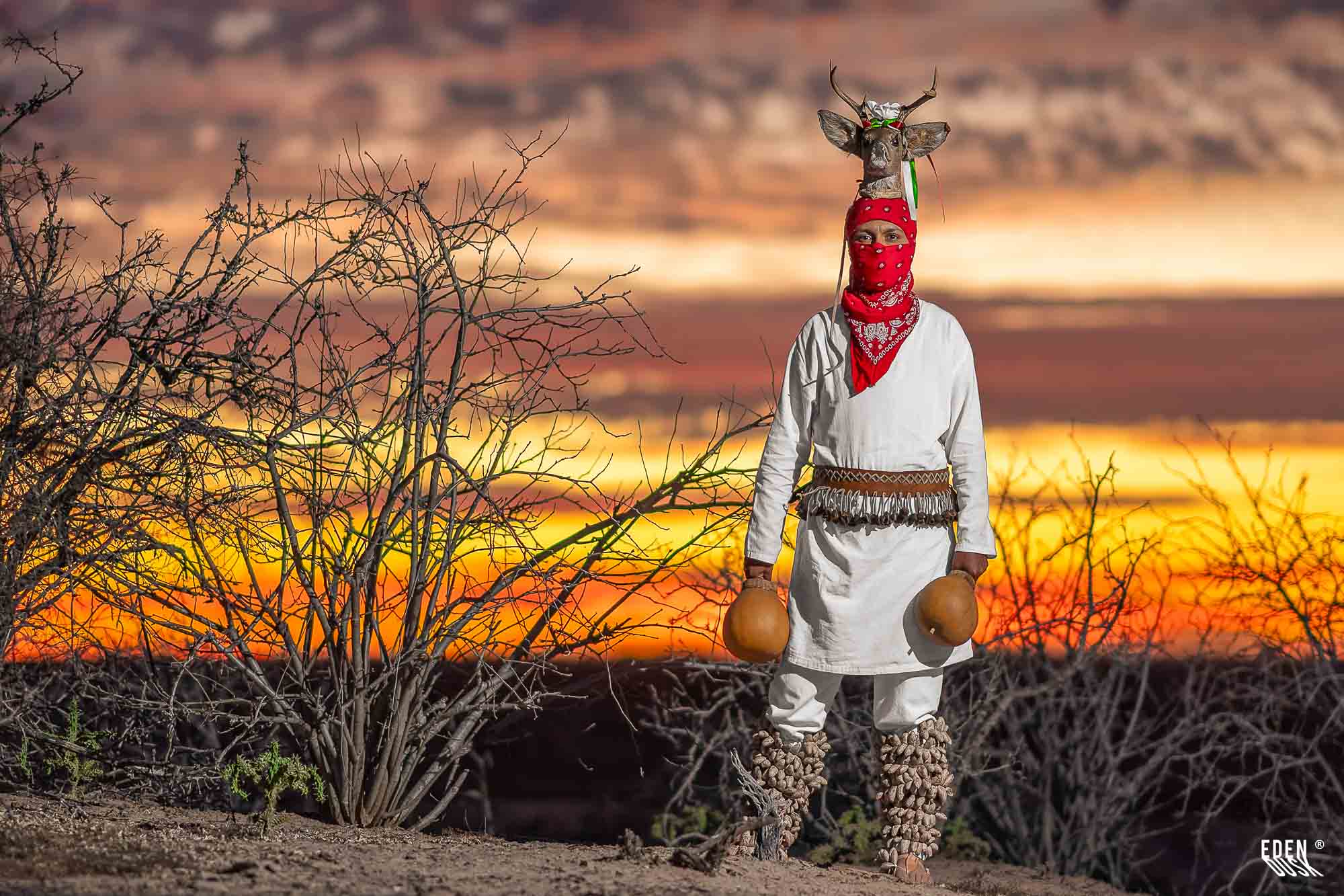 Figura del Venado ante un horizonte encendido; luz cálida y matorral.