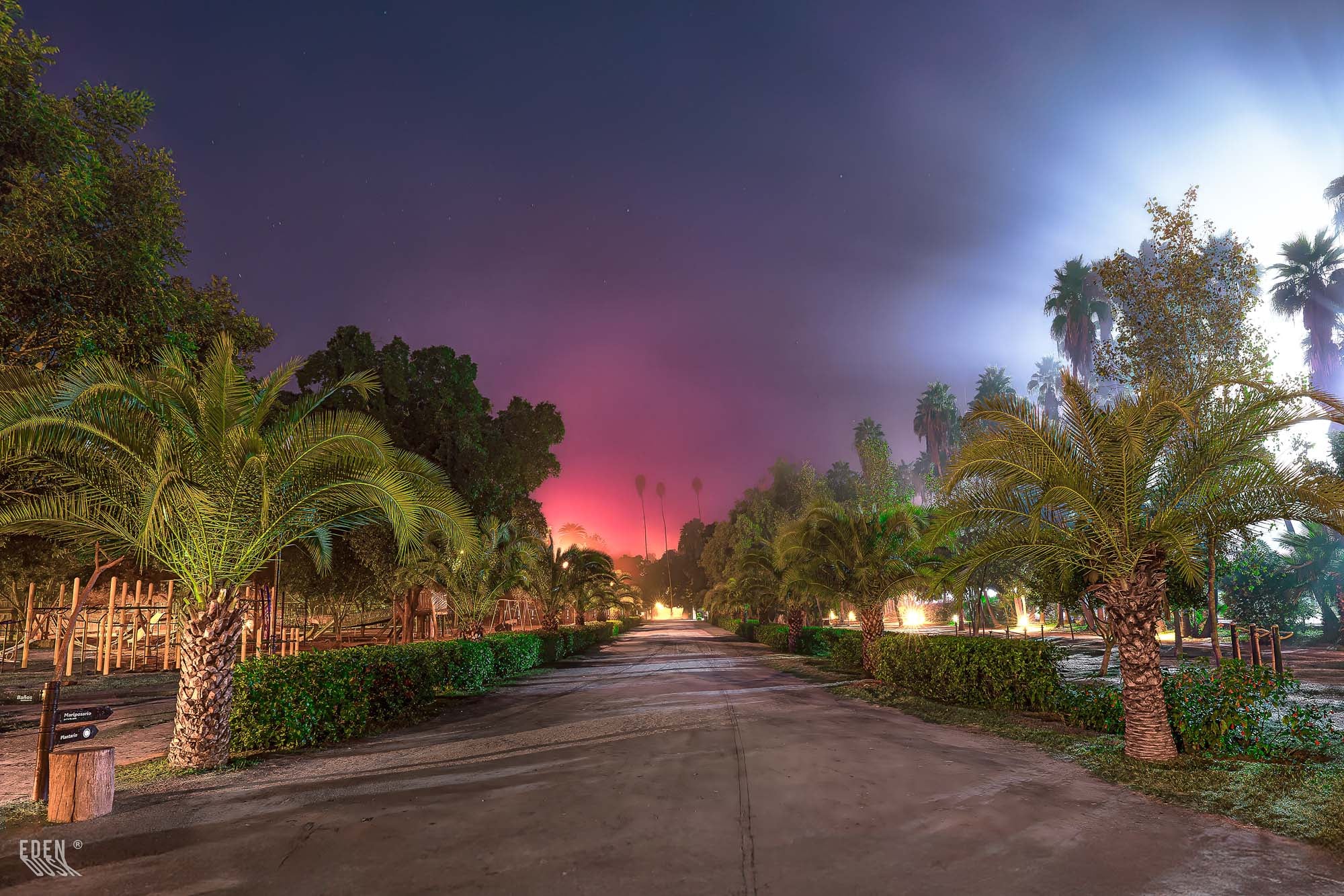 Sendero nocturno del Parque Sinaloa envuelto en neblina, con la luz de los faroles esféricos creando halos y un ambiente de quietud.