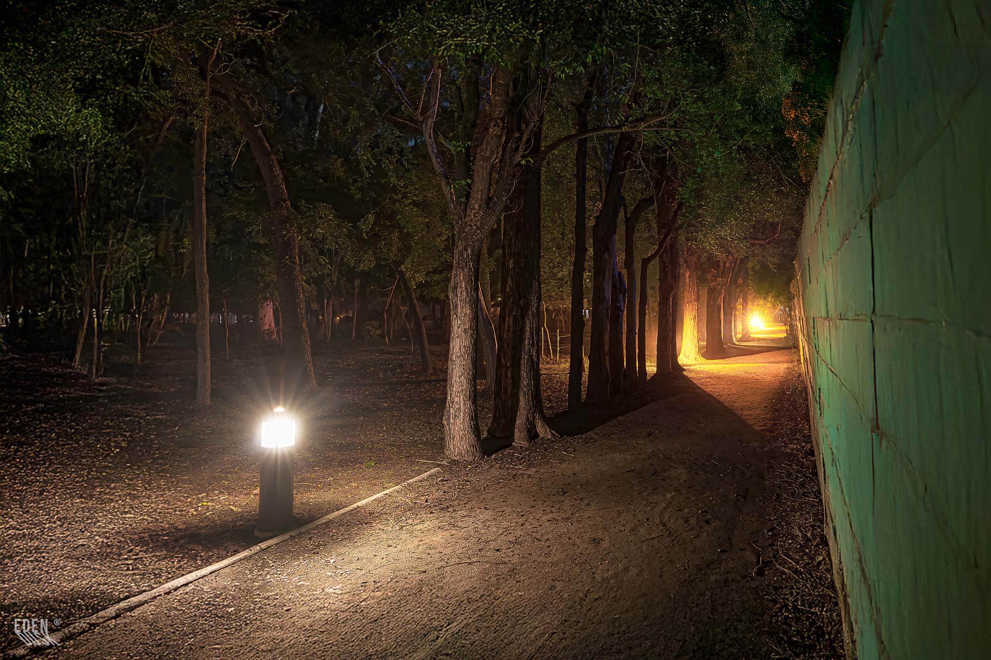Una hilera de faroles ilumina un sendero vacío en el Parque Sinaloa, creando un camino de luz que se adentra en la oscuridad de la noche.