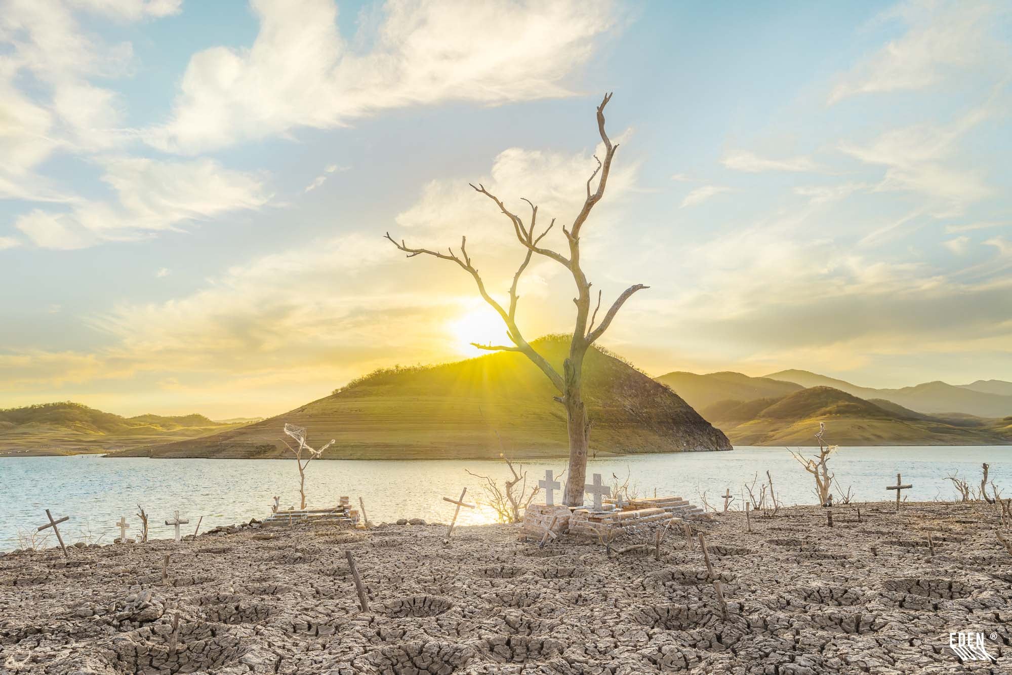 Un árbol solitario se recorta contra el cielo anaranjado del atardecer en el paisaje desolado del Panteón de Terahuito.
