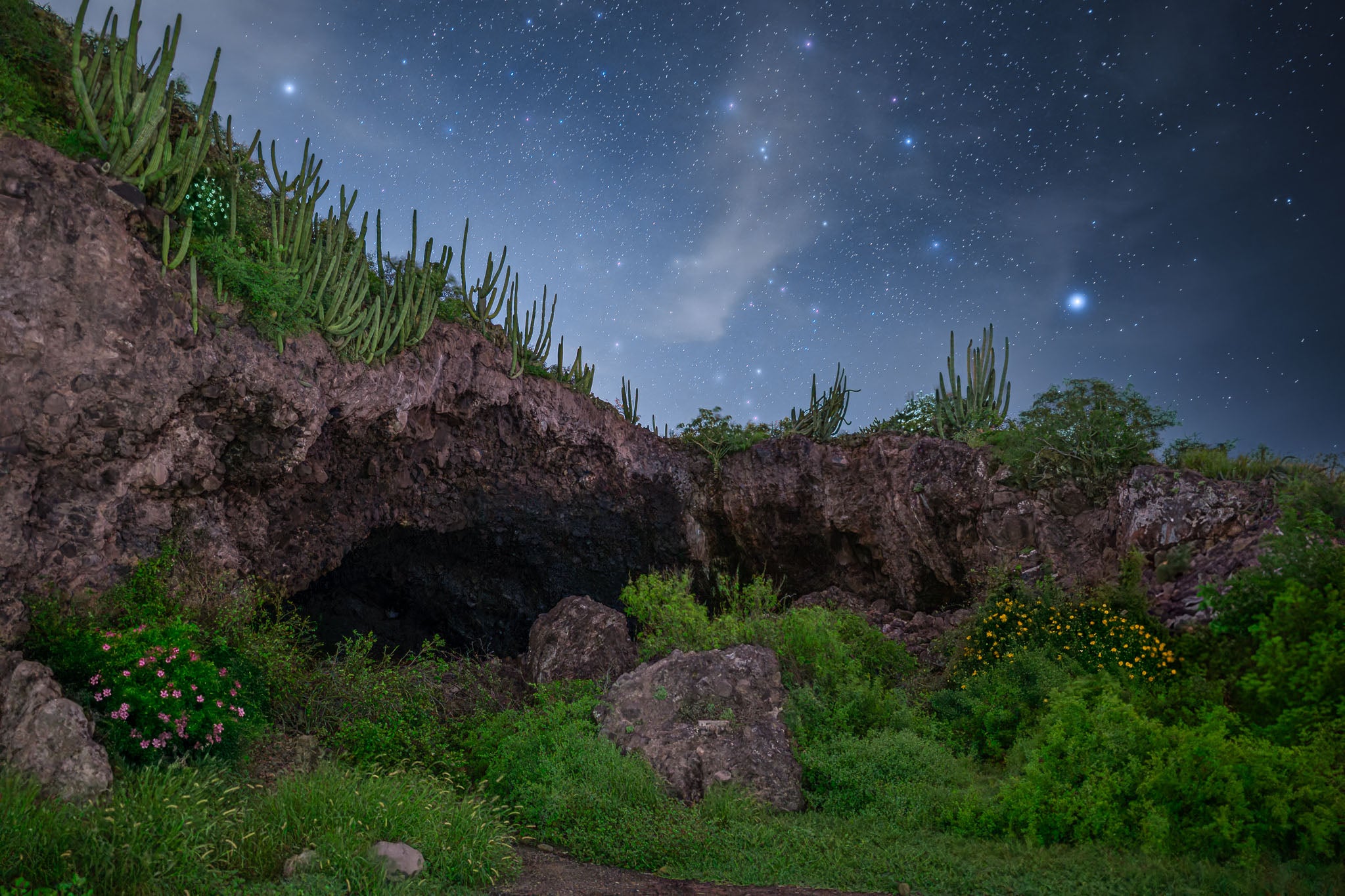 Boca de cueva en ladera volcánica con cactus columnares; matorral verde y cielo estrellado con nubes, nocturna.