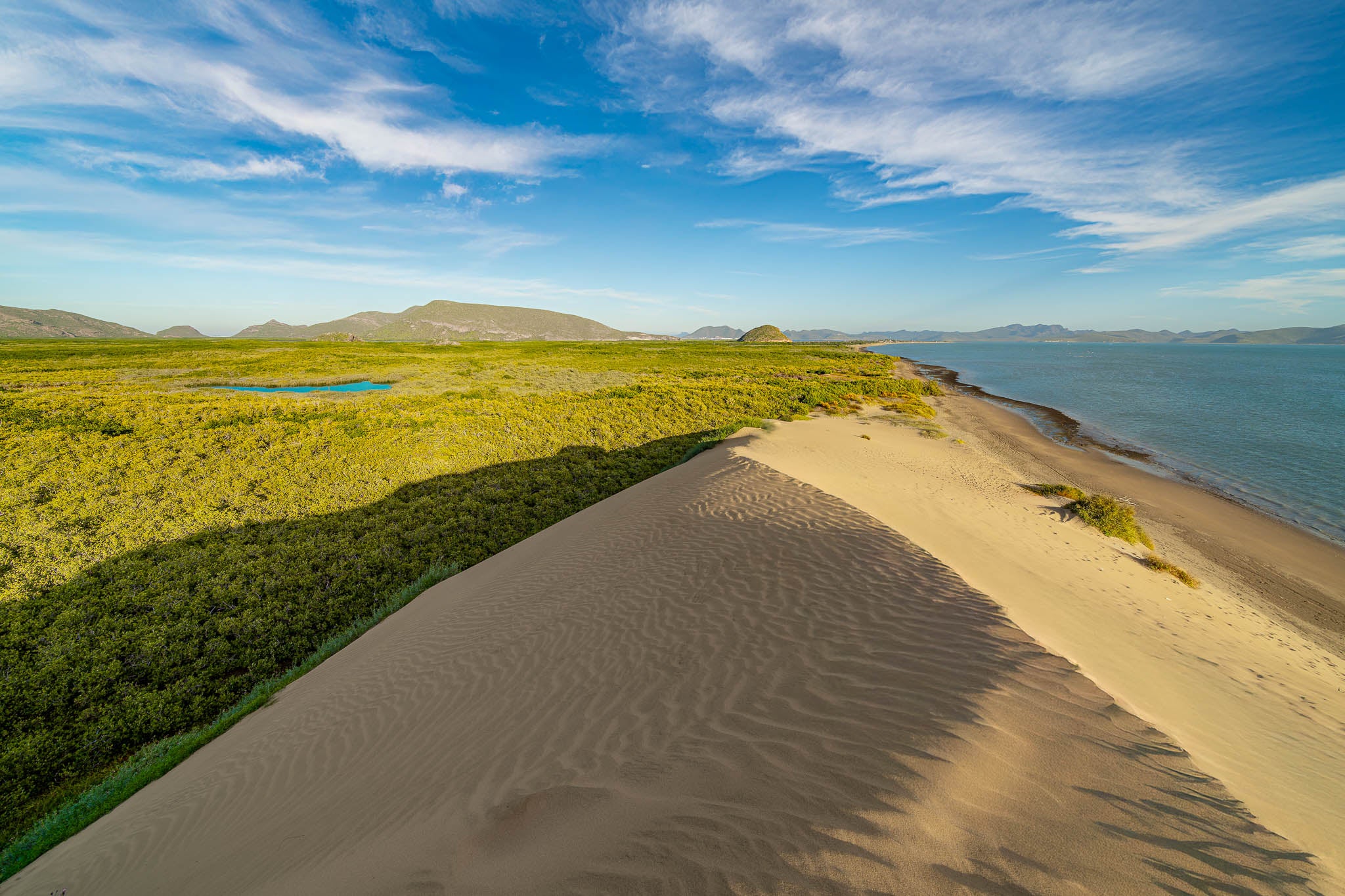 Cresta de duna con ondulaciones y sombra larga; manglar y pequeña laguna a la izquierda, mar calmo a la derecha, cielo azul con nubes.