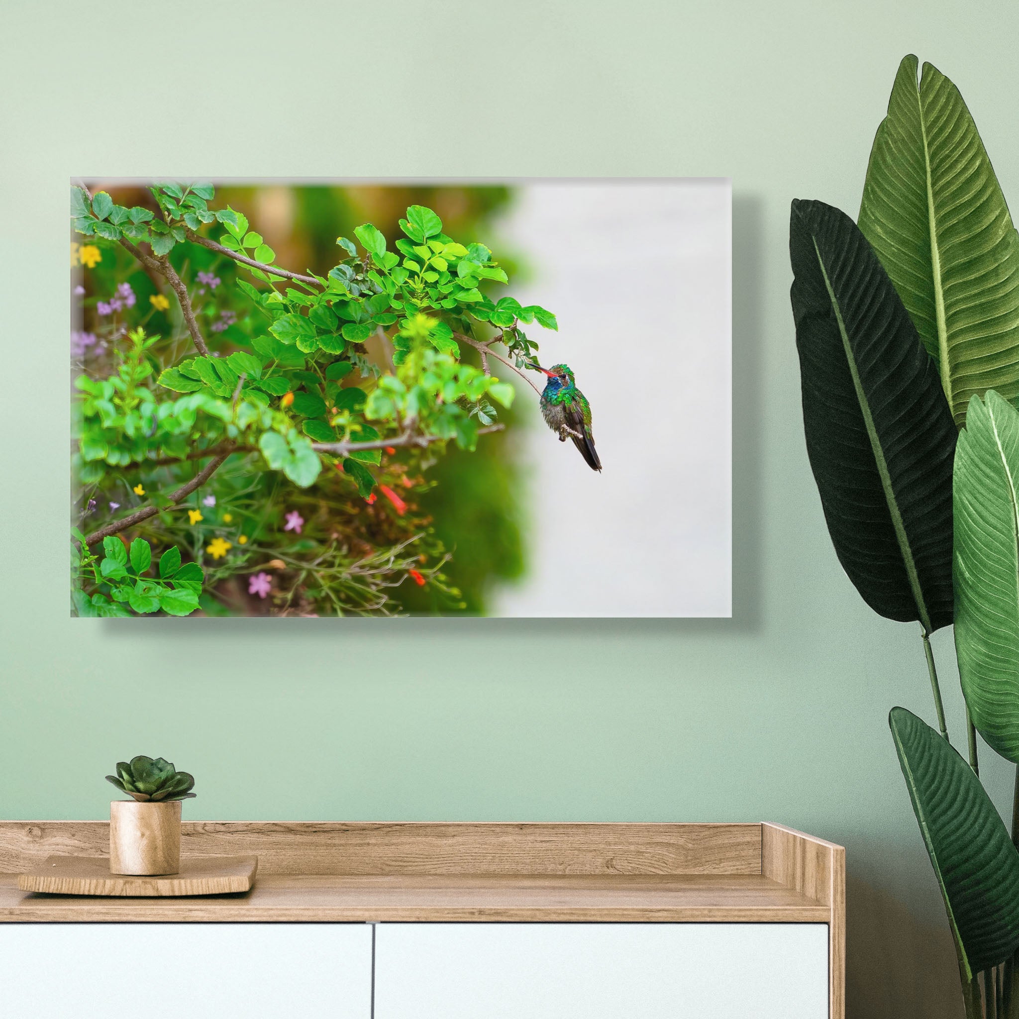 Canvas colgado en pared verde suave; colibrí reposando en una rama entre hojas frescas y flores pequeñas; luz difusa y ambiente sereno.