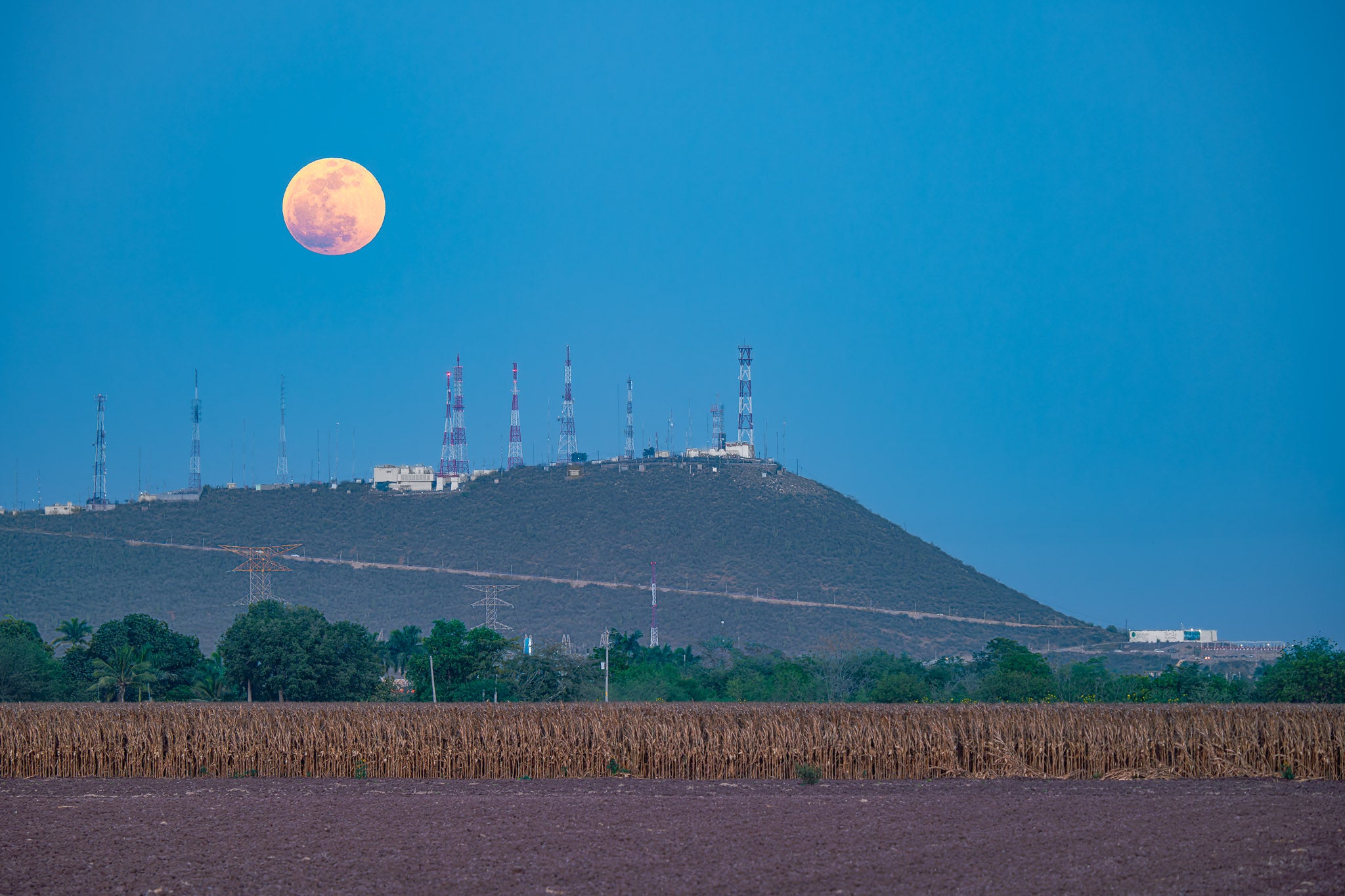 Luna llena anaranjada sobre cerro con antenas; campo de maíz seco en primer plano y cielo azul de amanecer.