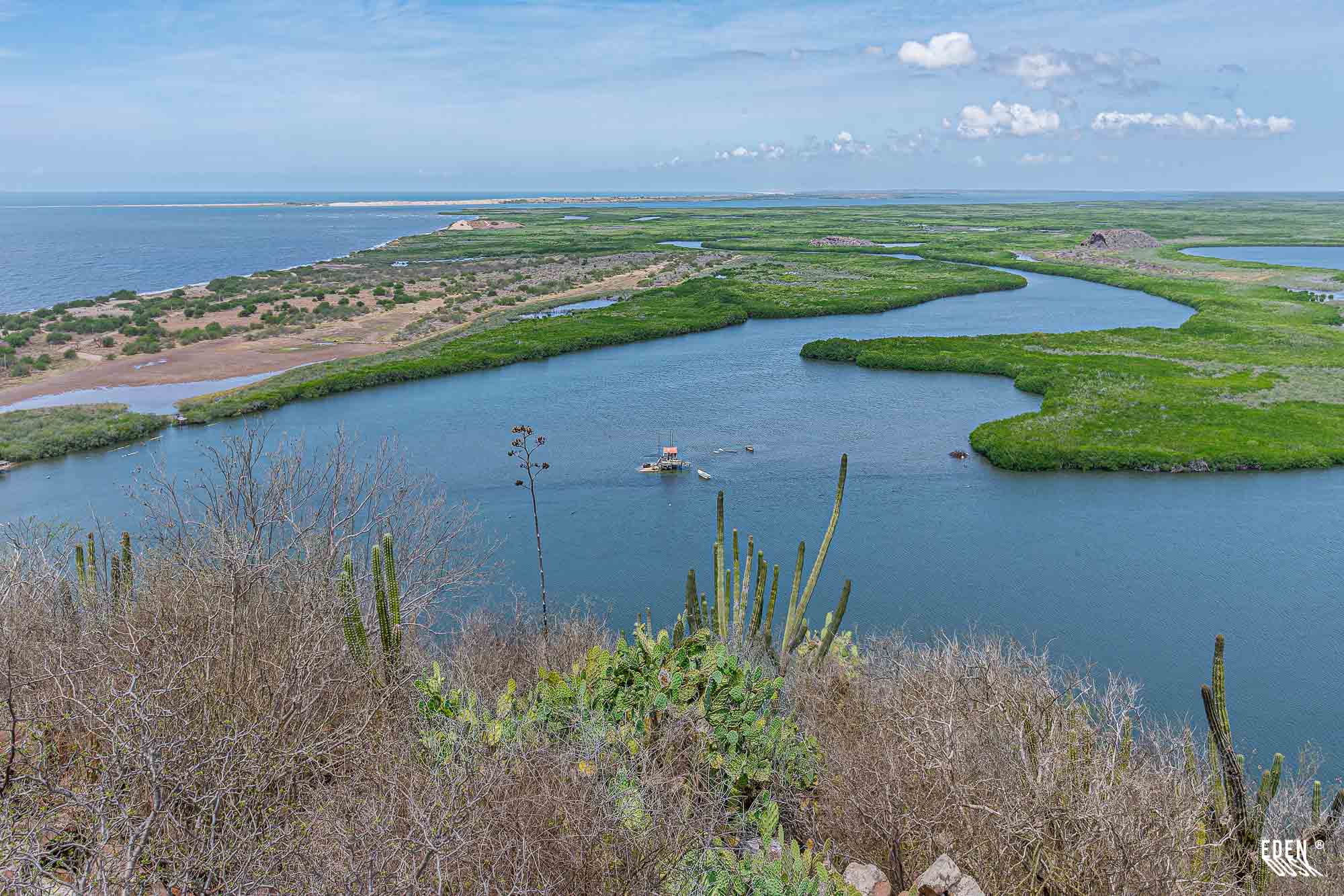 Canales de agua azul entre vegetación; cactus y matorrales en primer plano y una embarcación pequeña visible en el centro.