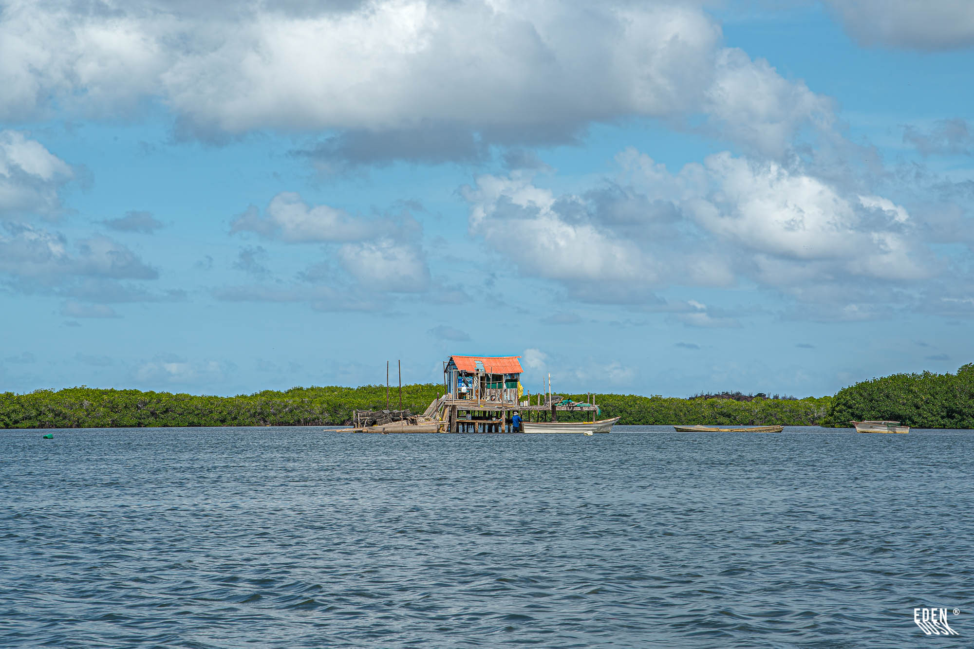 Casa de madera sobre pilotes con techo a dos aguas; botes alrededor en laguna tranquila, manglar al fondo y cielo nublado.