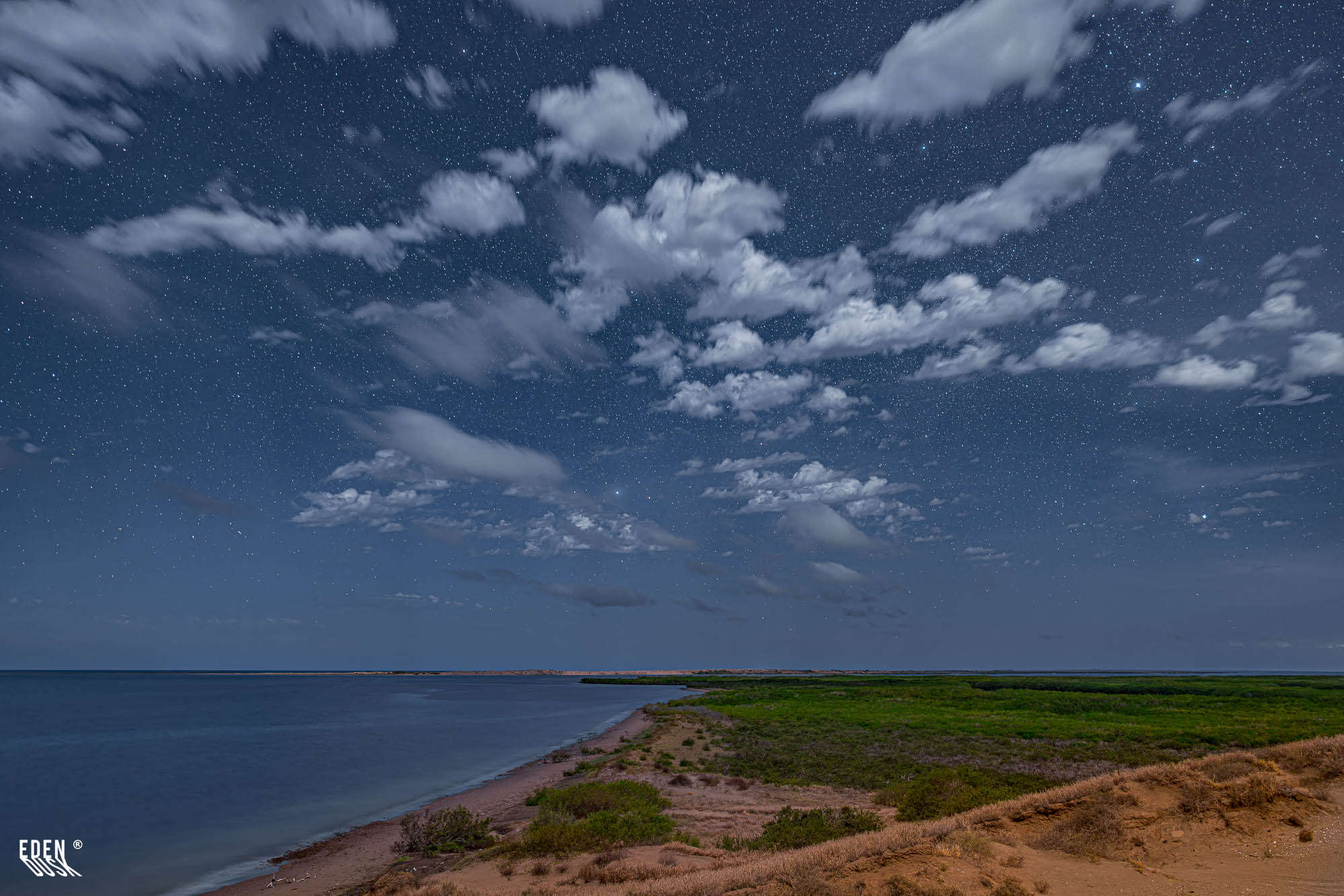 Vista nocturna de la costa con cielo estrellado y nubes; orilla de playa junto al mar en calma y extensas zonas de vegetación vistas desde una duna.