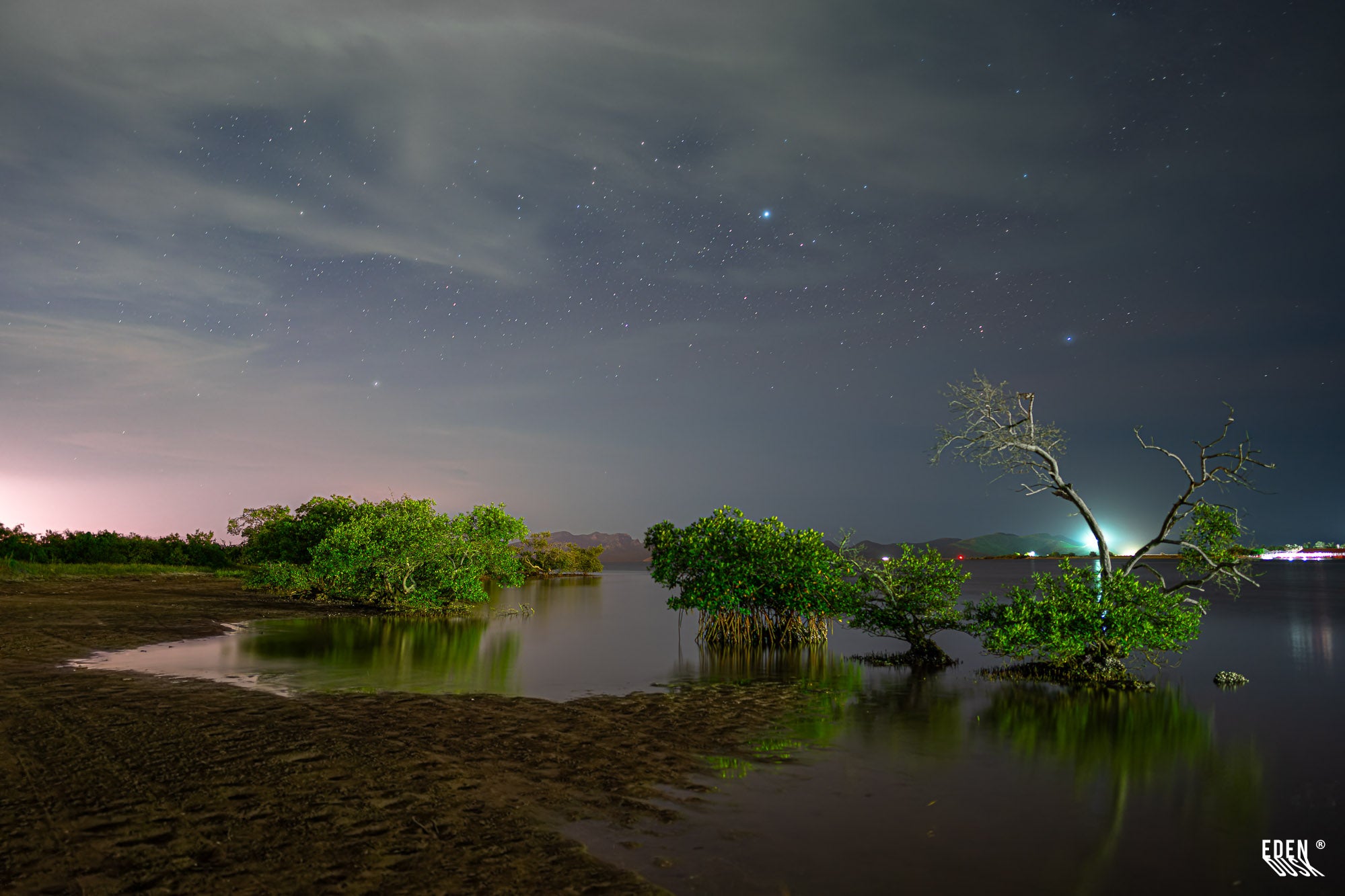 Manglares en la orilla bajo cielo estrellado; árbol seco a la derecha con reflejos sobre el agua y luces urbanas al fondo en El Maviri.