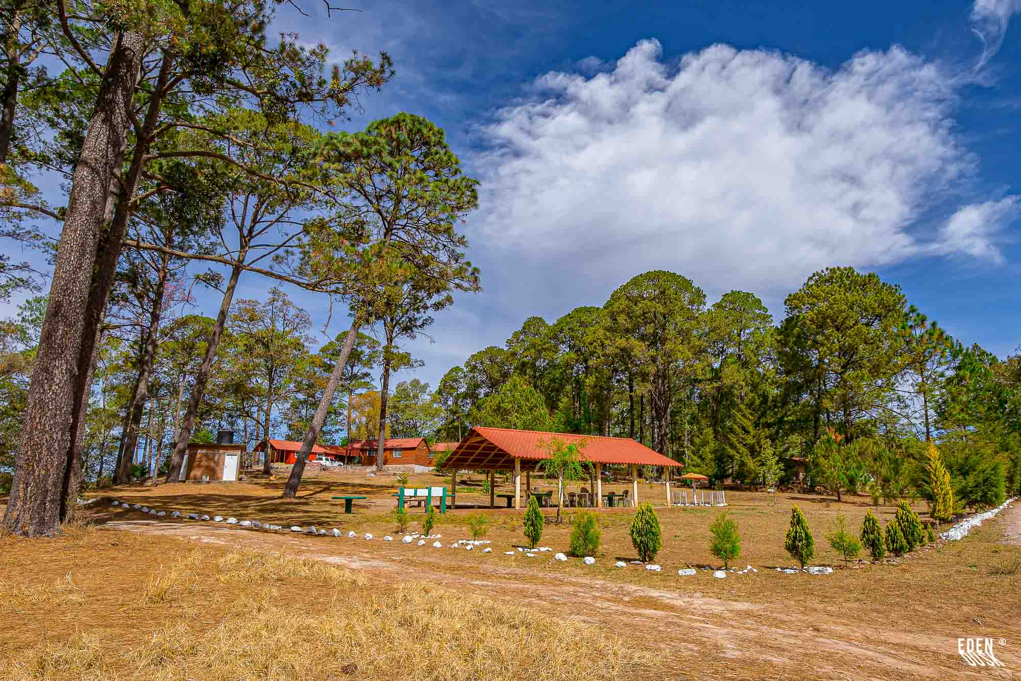 Pabellón con techo rojo entre pinos; mesas bajo la sombra y cabañas al fondo; cielo azul con nubes y pasto seco en primer plano.