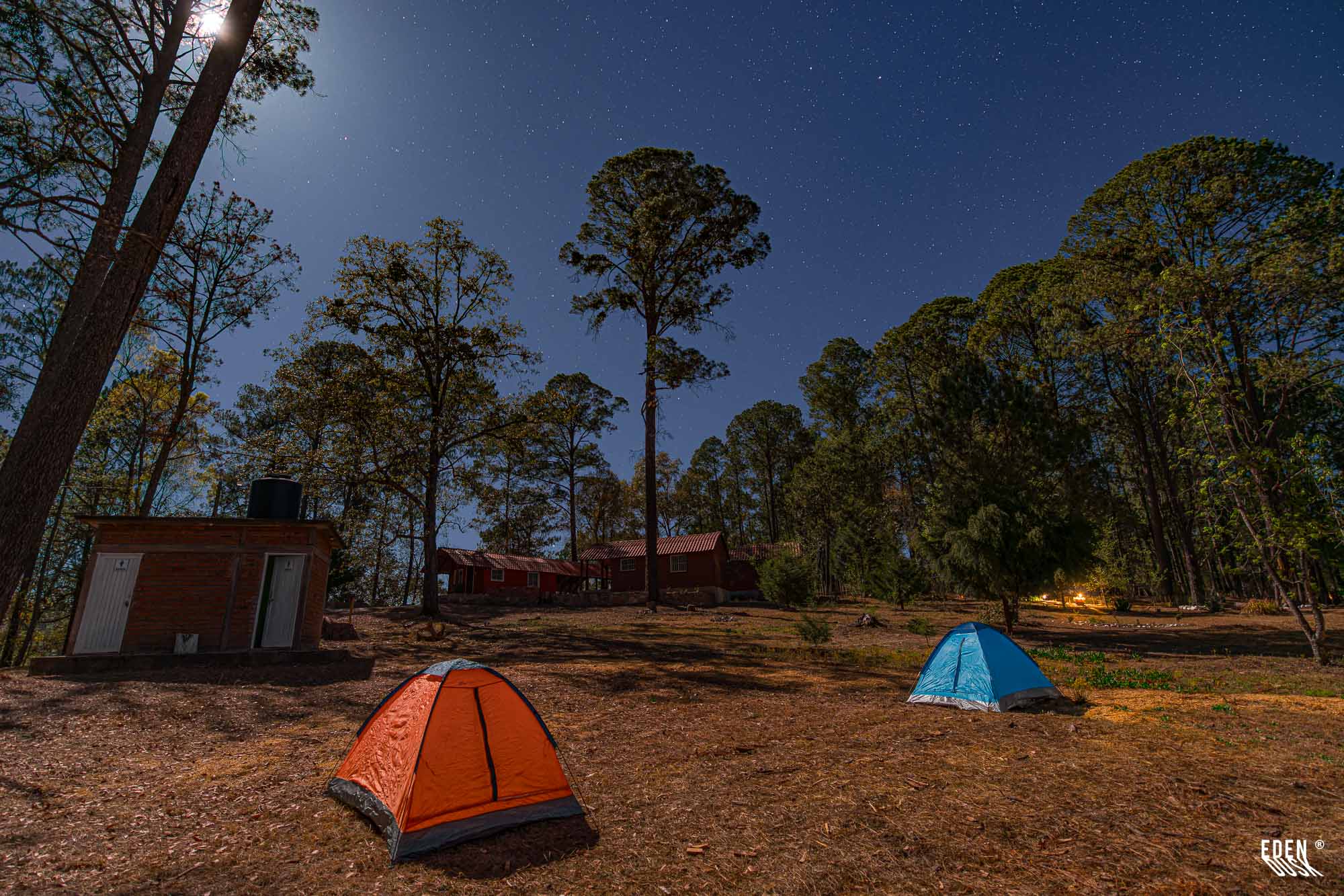 Dos tiendas de campaña en un claro de bosque; cabañas y árboles altos al fondo bajo cielo nocturno estrellado.