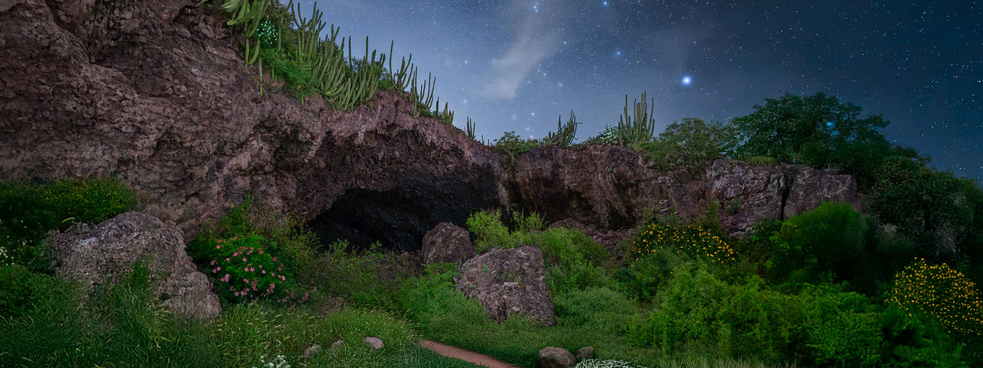 Entrada de cueva con cactáceas al borde y cielo nocturno estrellado; contraste marcado y perspectiva hacia el interior.