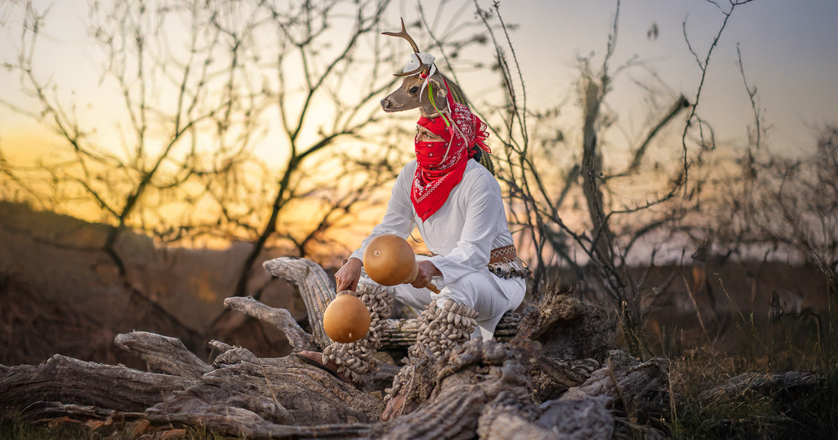 Danza del Venado sentado sobre troncos al atardecer, con sonajas y máscara de venado, paisaje desértico de Sinaloa.