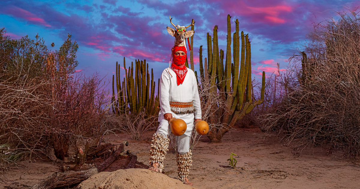 Danzante del venado posando entre cardones en el desierto, con máscara y sonajas, bajo cielo crepuscular púrpura y azul.
