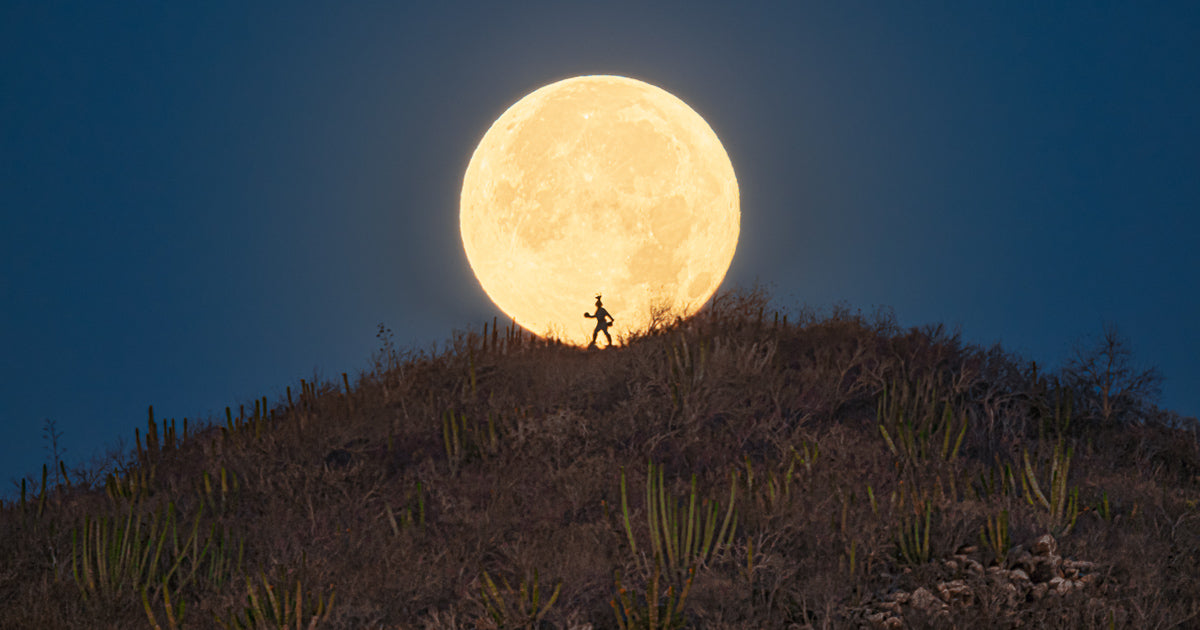 Silueta de danzante del venado sobre un cerro frente a una luna llena enorme; cielo azul y matorral con cactus.