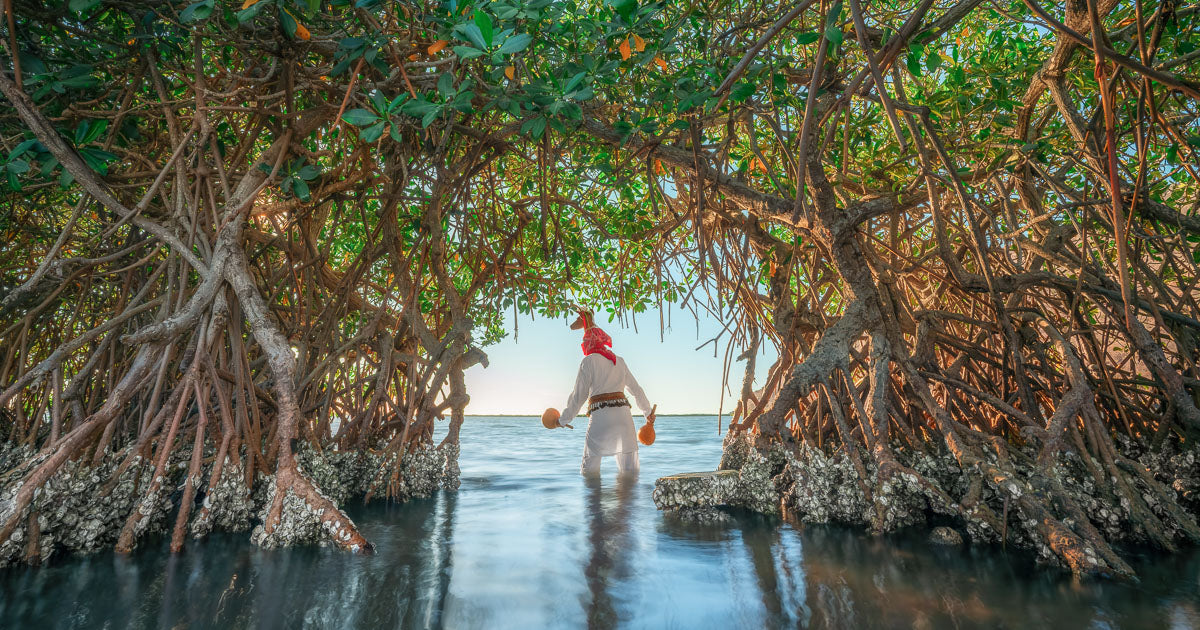 Danzante del venado de espaldas avanzando por el agua, enmarcado por raíces y hojas de manglar, con mar y cielo claros al fondo.