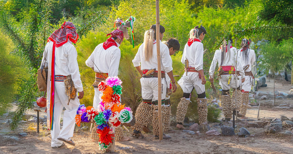 La siguiente generación: una reflexión sobre el futuro cultural yoreme.