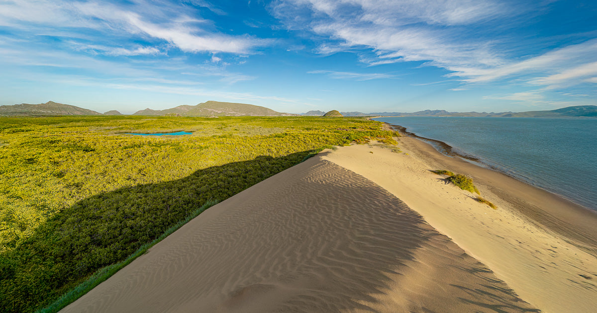 Cresta de una gran duna de arena junto a manglares verdes y la costa de la bahía; al fondo cerros y un cielo azul con nubes ligeras.