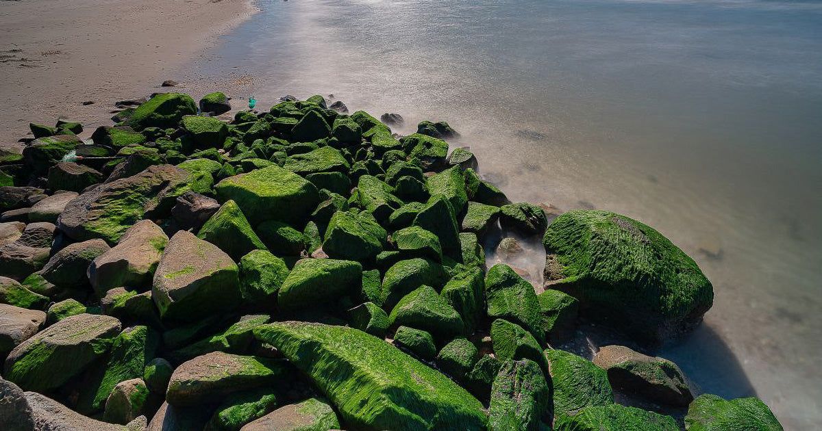 Playa Las Salinas: un instante de calma en la costa de Ahome.