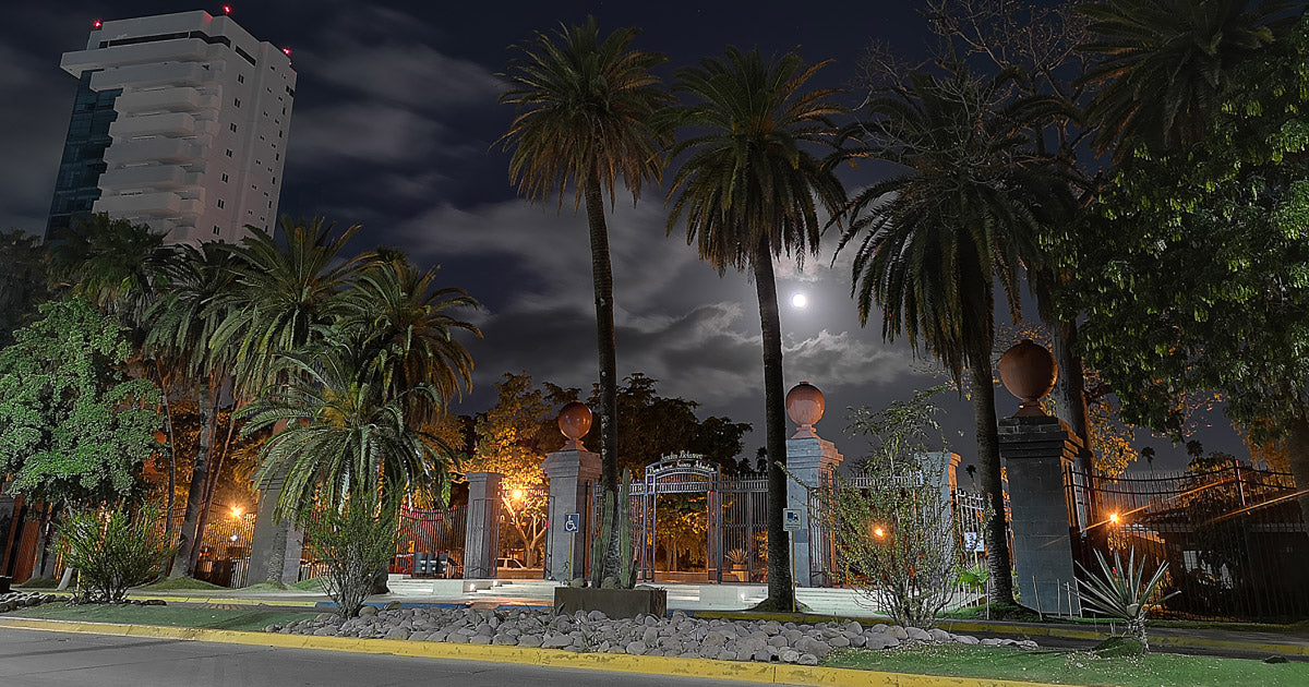 El Parque Sinaloa: la primera semilla de nuestro archivo de memoria.