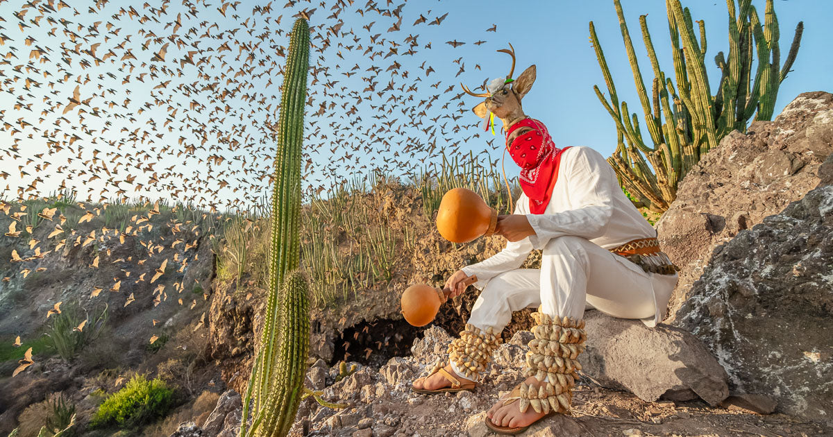 Danzante del Venado frente a una cueva mientras miles de murciélagos salen al vuelo entre cactus al atardecer.