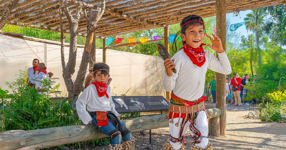 Sabores ancestrales: documentando la gastronomía yoreme-mayo.