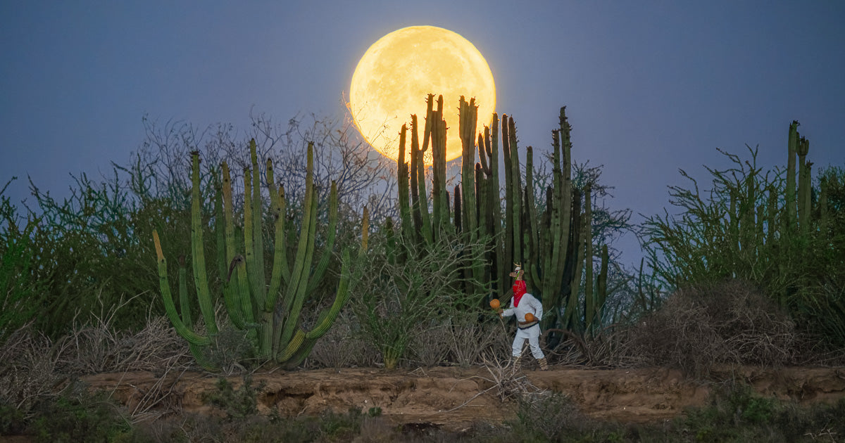 El Venado y la superluna: la historia de una noche en el monte.