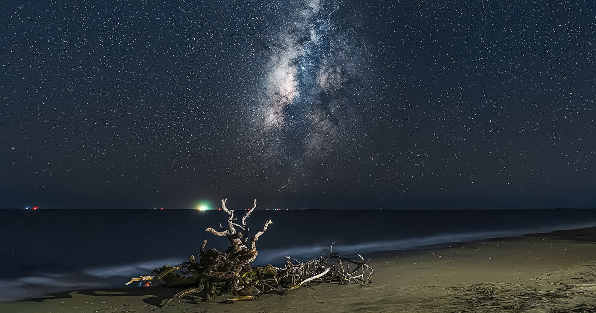 La Vía Láctea iluminando un cielo estrellado sobre la playa, con troncos arrastrados por el mar en primer plano y el oleaje suave al fondo.