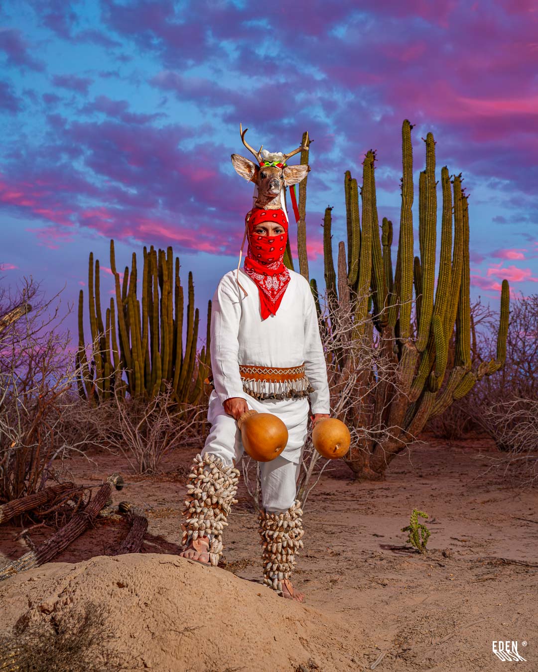 Retrato vertical del Venado con cactáceas y cielo púrpura.