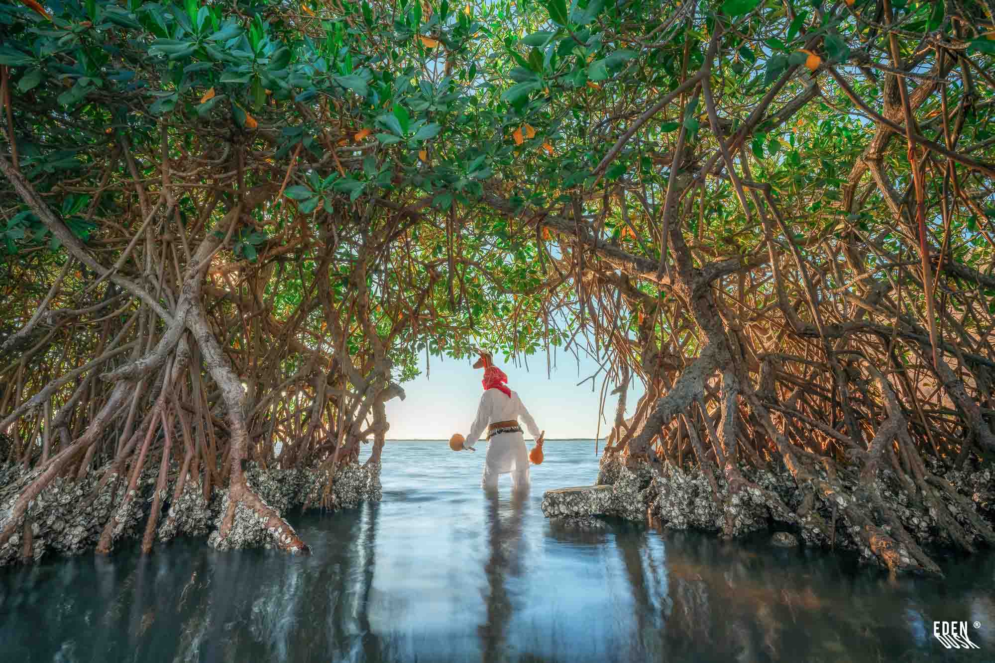 Figura del Venado dentro del manglar, agua a la cintura y mar al fondo.