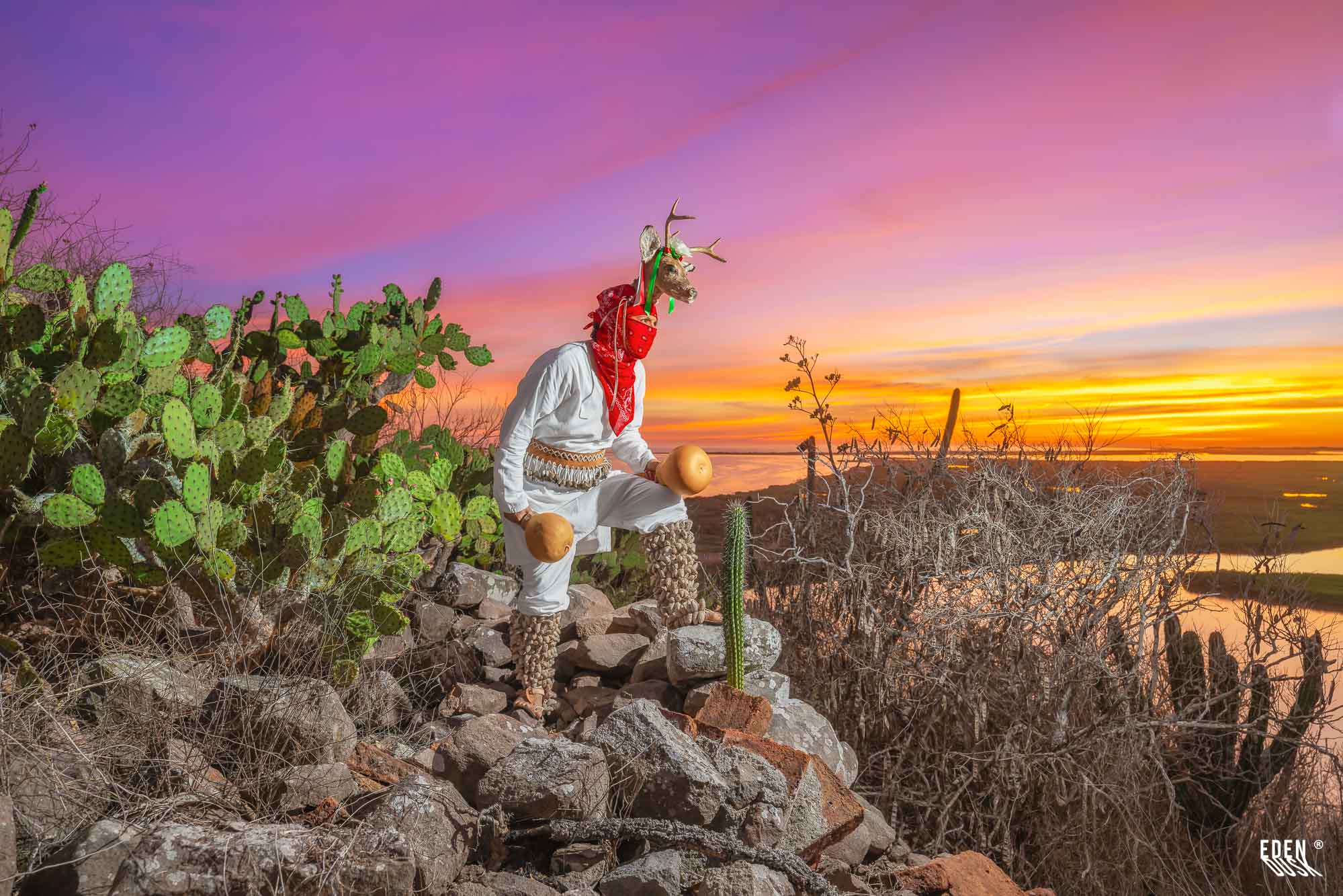Figura del Venado de pie con cielo magenta al atardecer.