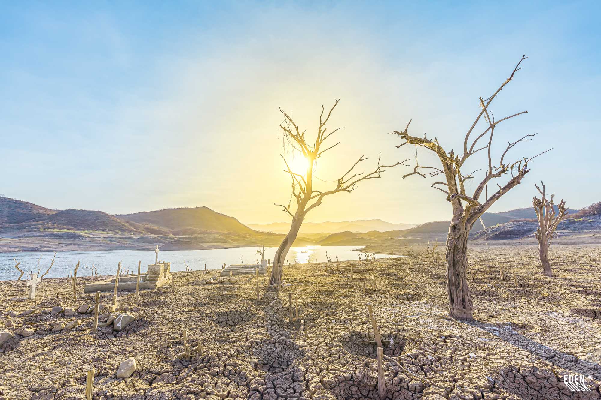 La suave luz del amanecer ilumina las siluetas de árboles secos y cruces en el Panteón de Terahuito, con la tierra agrietada en primer plano.