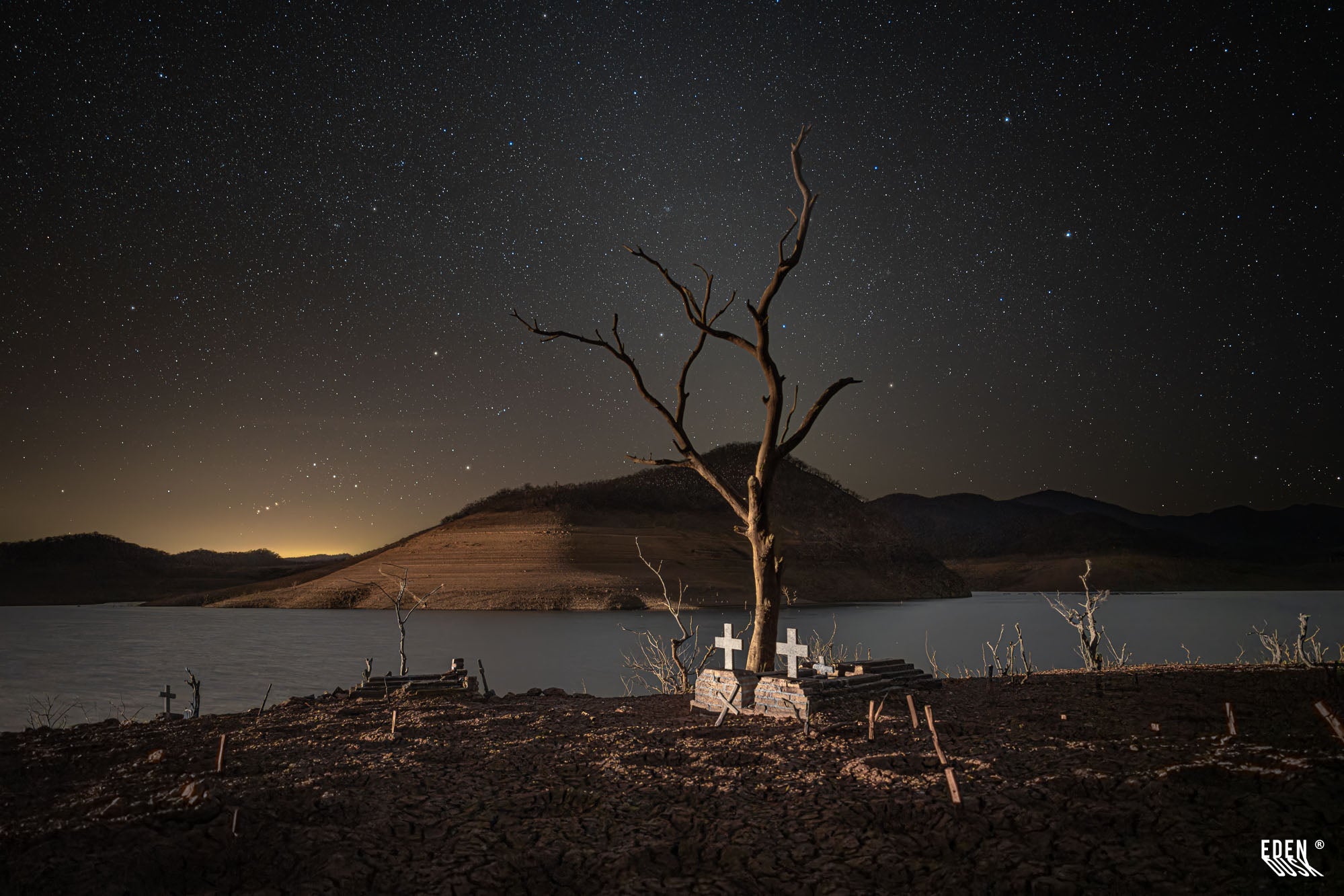 Un árbol de ramas secas se alza bajo un cielo nocturno y estrellado en el silencioso Panteón de Terahuito.