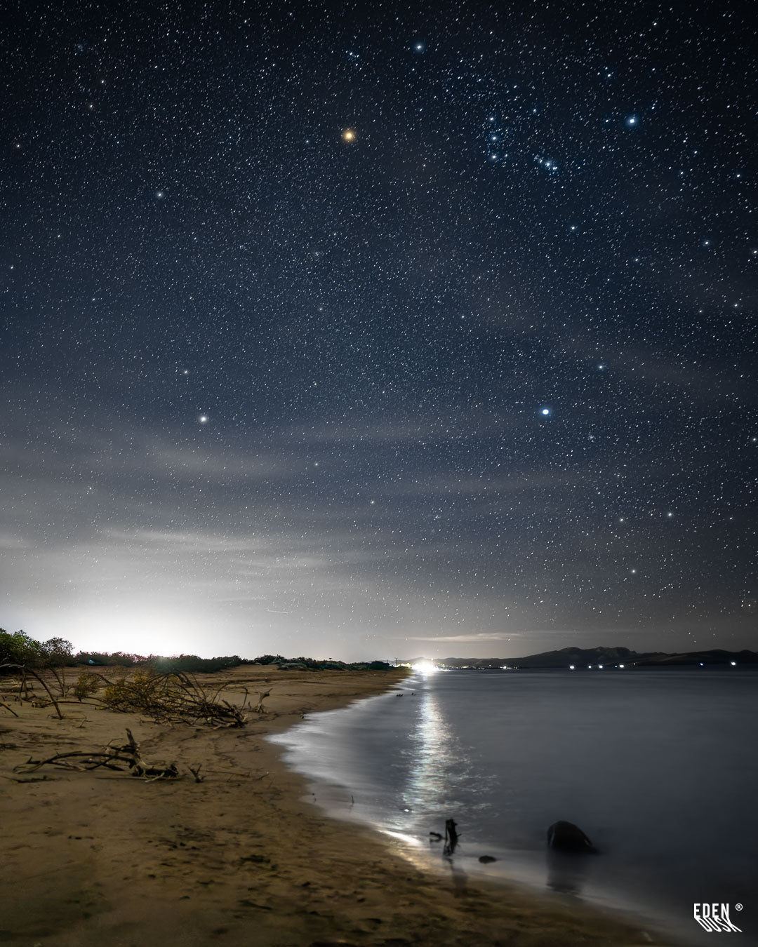 Cielo nocturno repleto de estrellas sobre playa; orilla con ramas secas, reflejo en el agua y luces distantes en el horizonte.