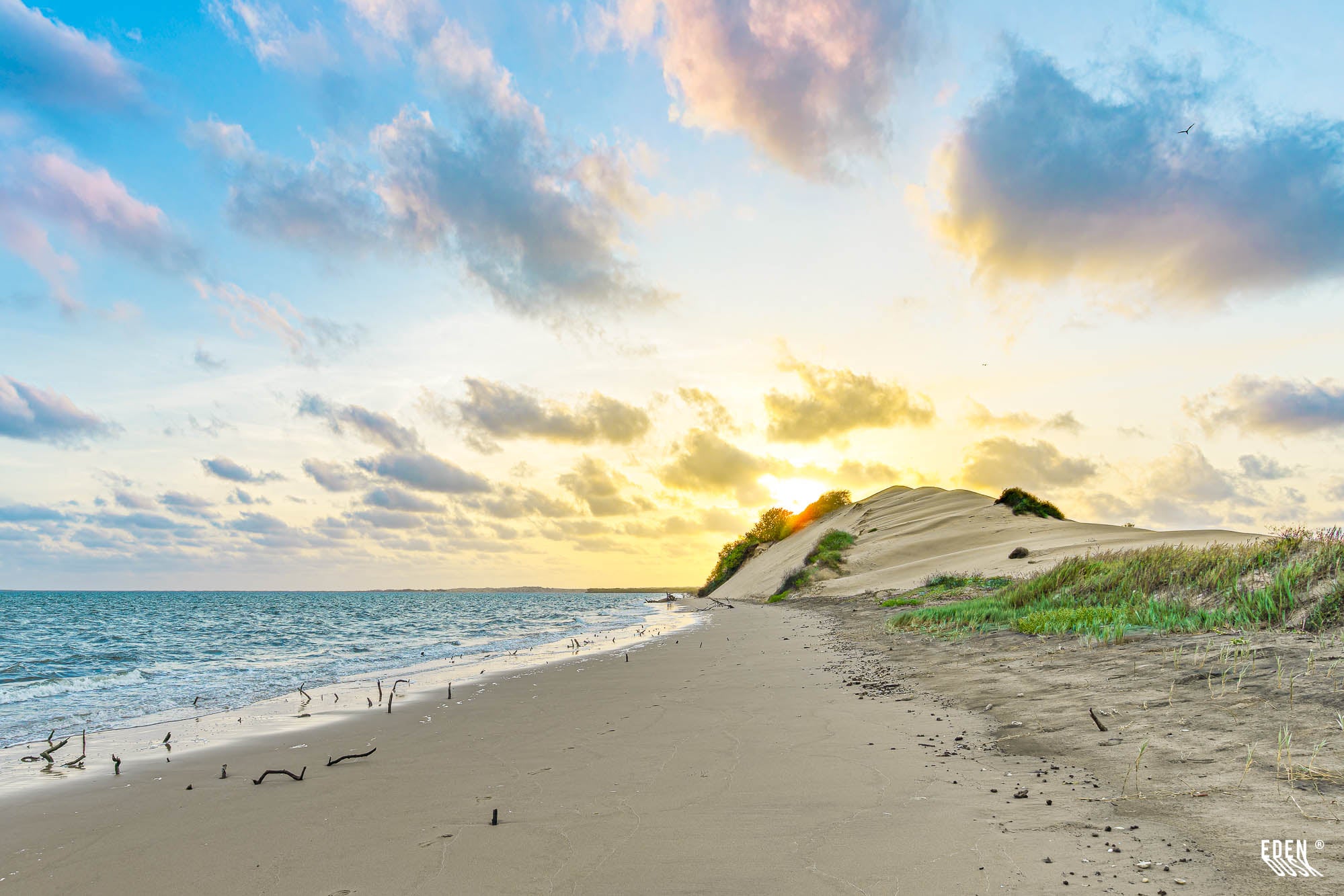Duna iluminada por sol bajo junto al mar; playa amplia con ramas dispersas y vegetación costera, nubes suaves.