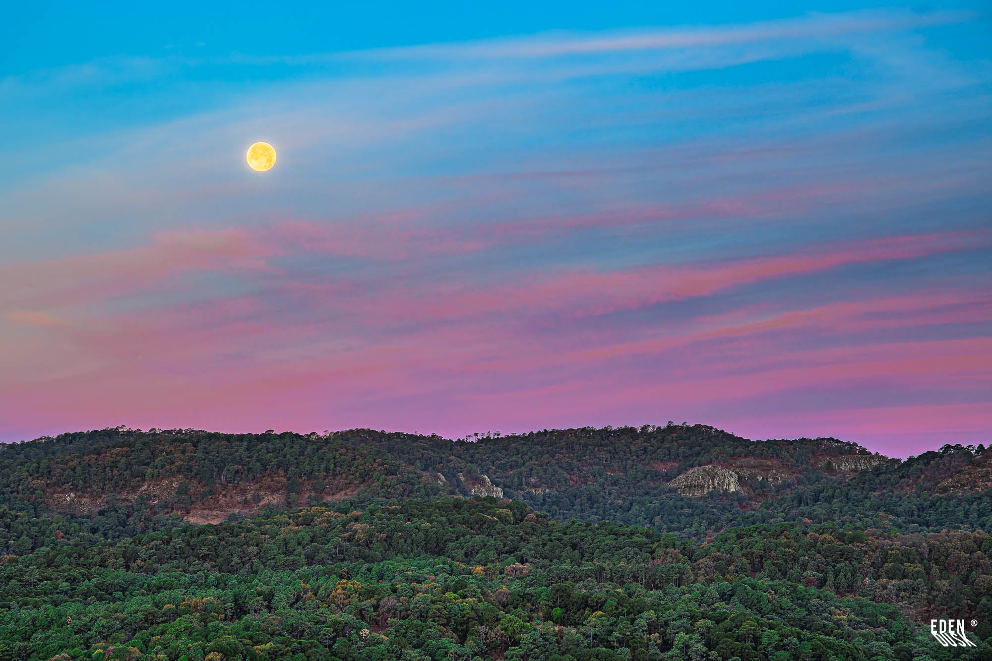 Luna llena sobre colinas boscosas; cielo con gradiente azul y rosa y nubes delgadas extendidas a lo ancho.