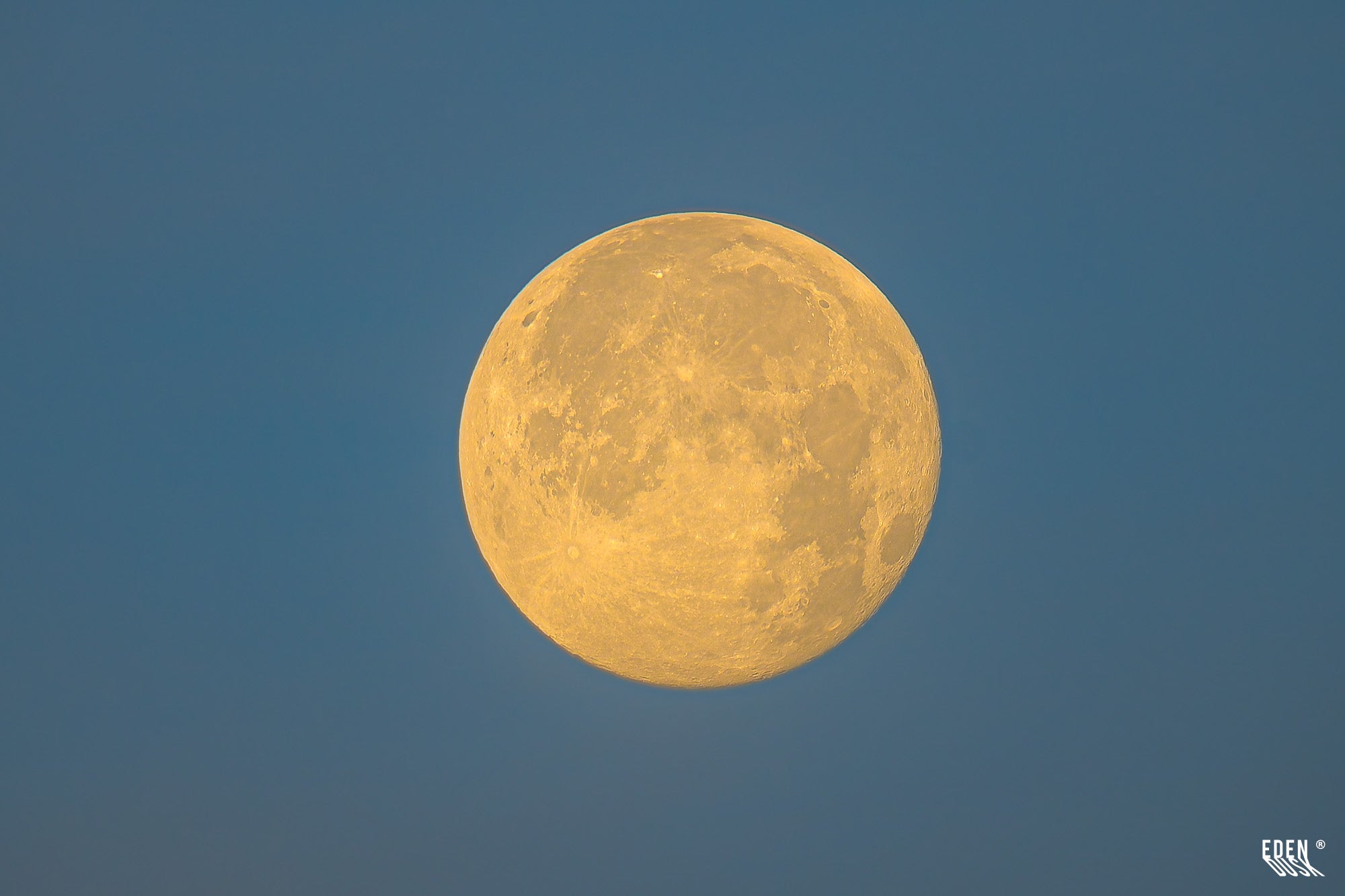 Disco de la luna en gran acercamiento; cráteres visibles sobre cielo azul uniforme, sin otros elementos.
