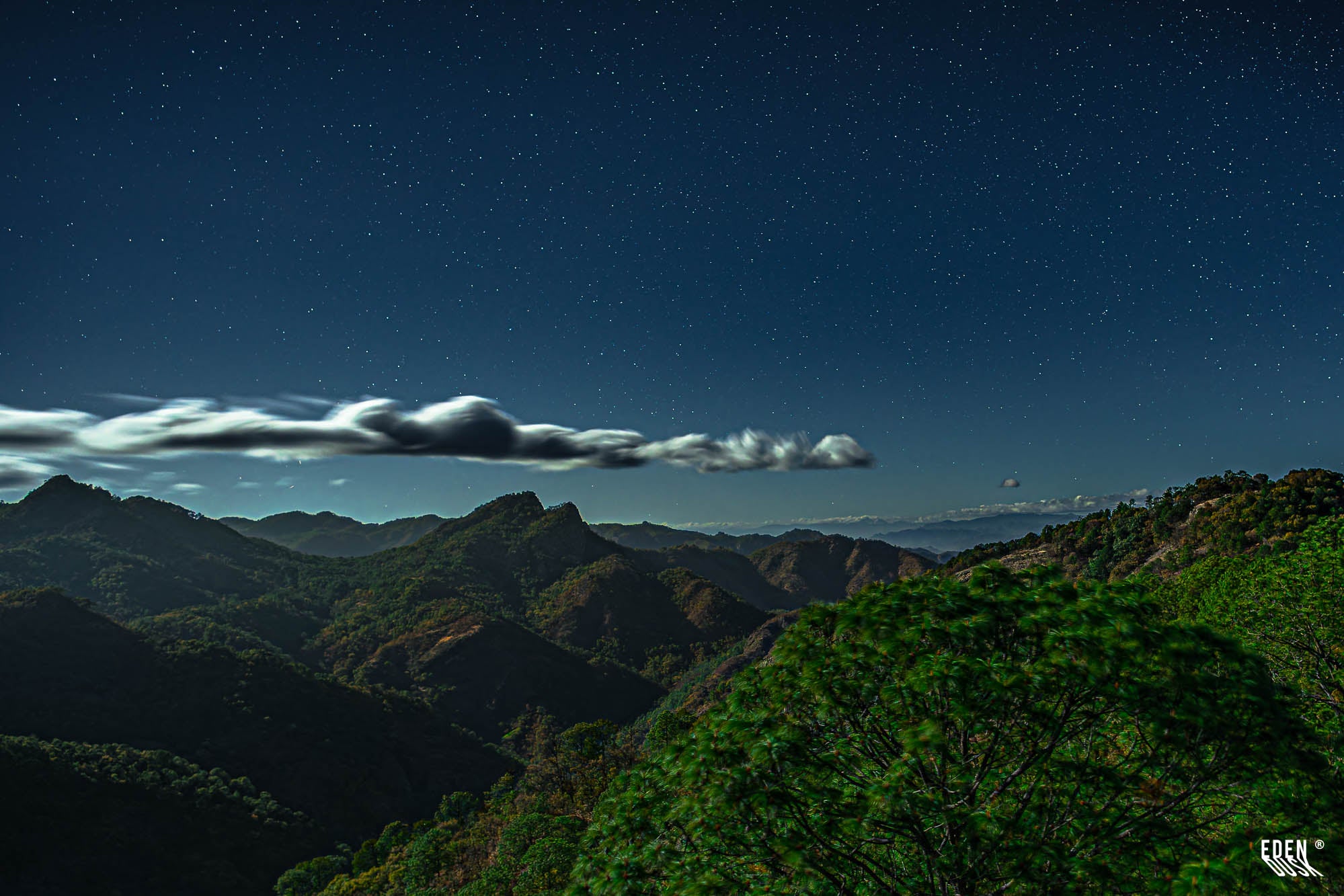 Cielo nocturno con numerosas estrellas y una nube alargada; siluetas de sierras y copa de árbol desenfocada en primer plano.